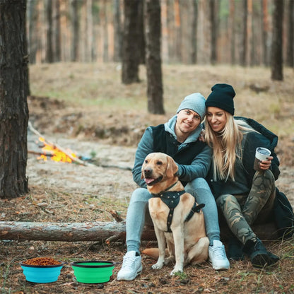 Portable Pet Feeder Bowl