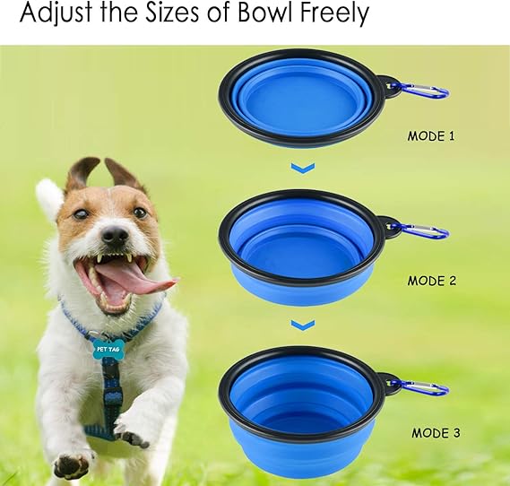 Portable Pet Feeder Bowl